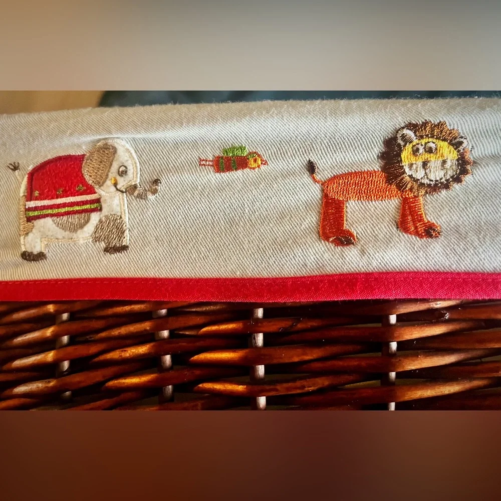 Cost Plus World Market charming wicker